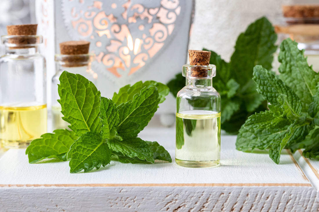Benefits of Peppermint Essential Oil